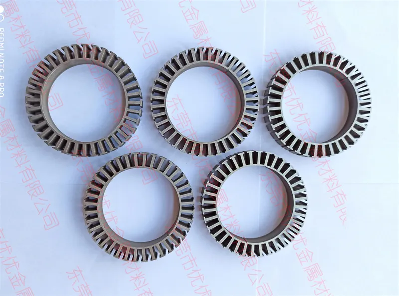 core stator and rotor lamination